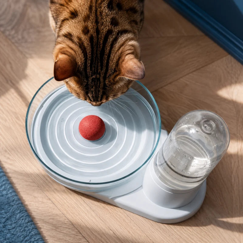 Distributeur d’eau pour chat à filtre inox permanent - Odis : chat qui boit avec vue du dessus - AstuceChat