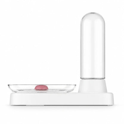 Distributeur d’eau pour chat à filtre inox permanent - Odis : vue latérale du distributeur avec coupelle transparente - AstuceChat