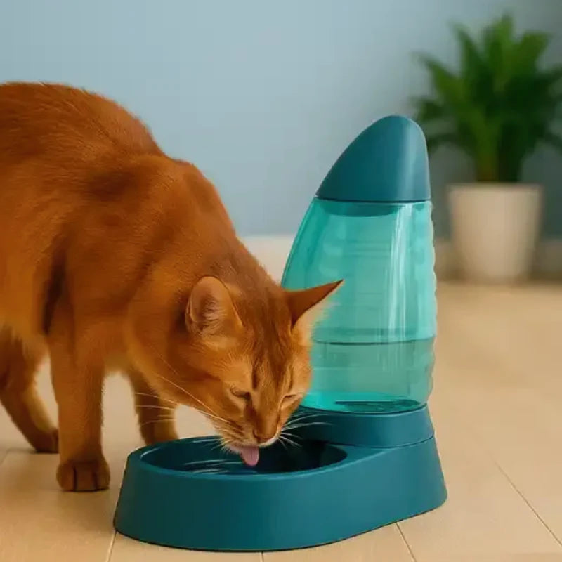 Distributeur d’eau pour chat – Odubaï par AstuceChat