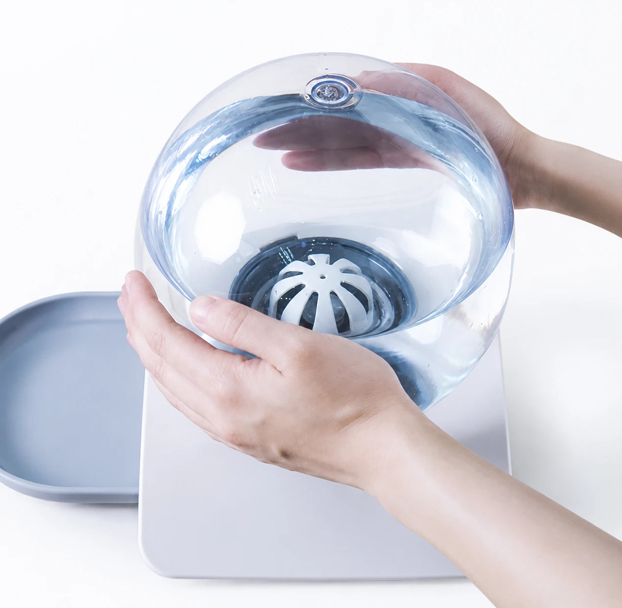 Distributeur d eau pour chat sans fil : Oline - Source Gris Perle réservoir rempli tenu à la main - AstuceChat