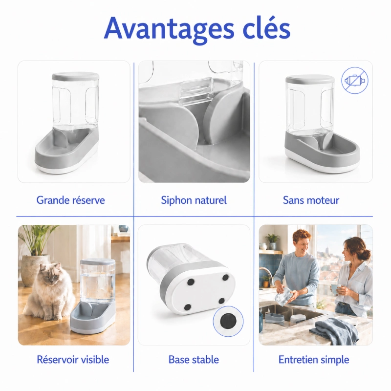 Distributeur eau chat bouteille Odra : avantages clés - AstuceChat