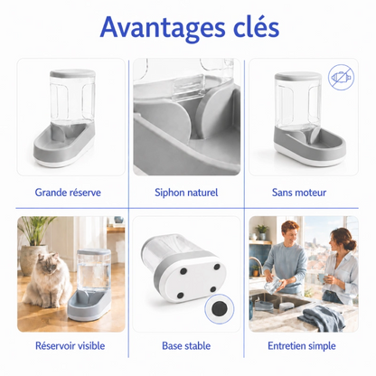 Distributeur eau chat bouteille Odra : avantages clés - AstuceChat