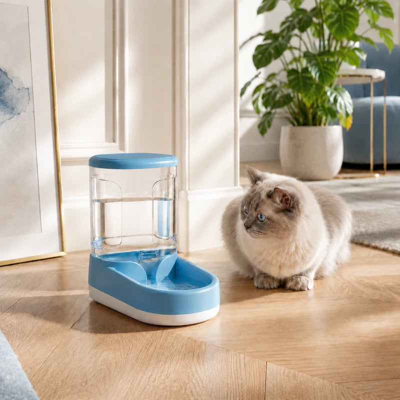 Distributeur eau chat bouteille - Odra : chat curieux près du modèle Bleu Lagune - AstuceChat