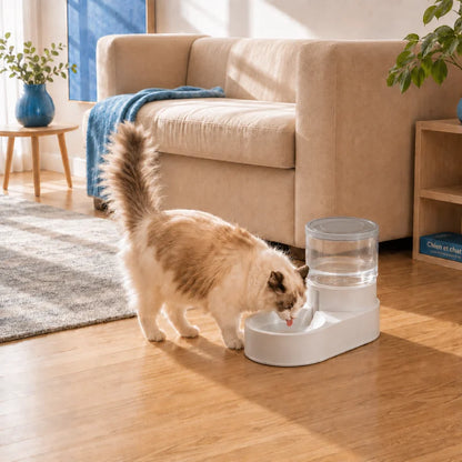 Distributeur eau chat design › Ovia : chat qui boit dans un salon lumineux Gris Brume - AstuceChat