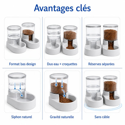 Distributeur eau croquettes design chat - Duovia : avantages clés du duo eau et croquettes - AstuceChat
