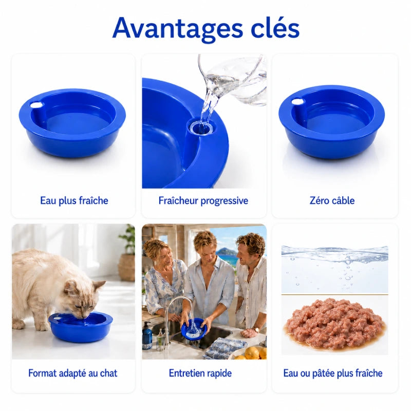 Distributeur eau fraiche chat Ofrai : avantages clés du bol rafraîchissant - AstuceChat