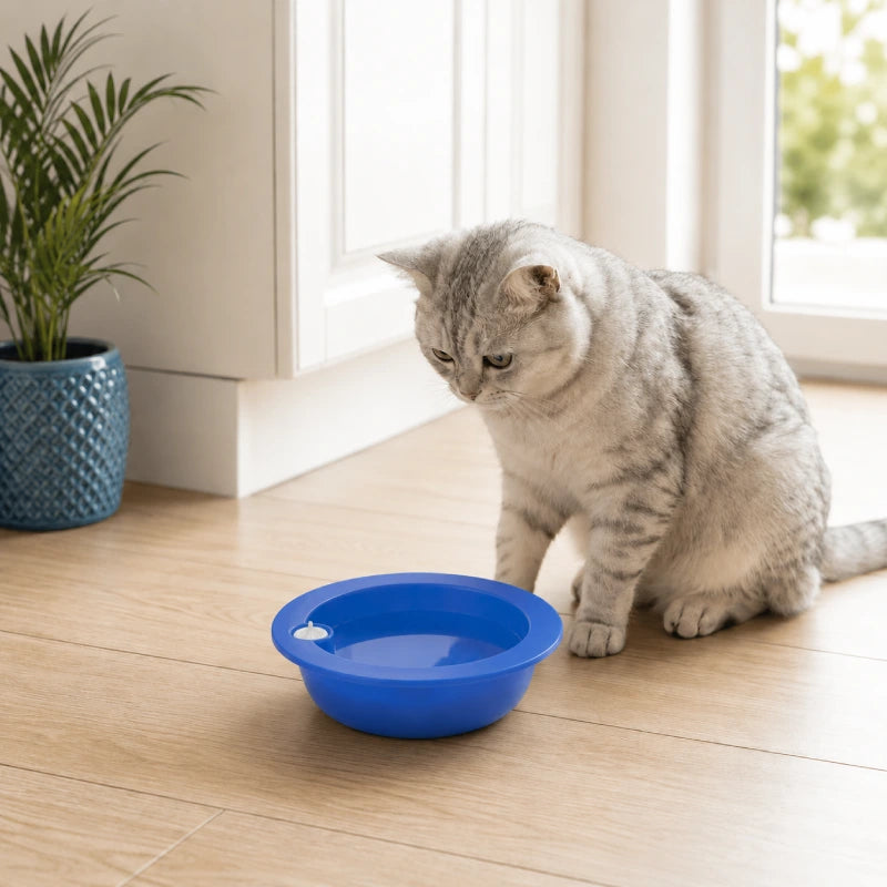Distributeur eau fraiche chat Ofrai : lifestyle intérieur lumineux - AstuceChat