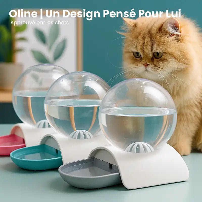 Distributeur eau pour chat - Oline approuvé par les chats - AstuceChat