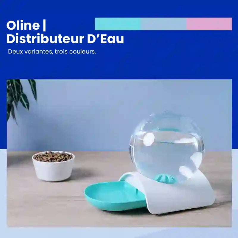 Distributeur eau pour chat - Oline : deux variantes trois couleurs - AstuceChat