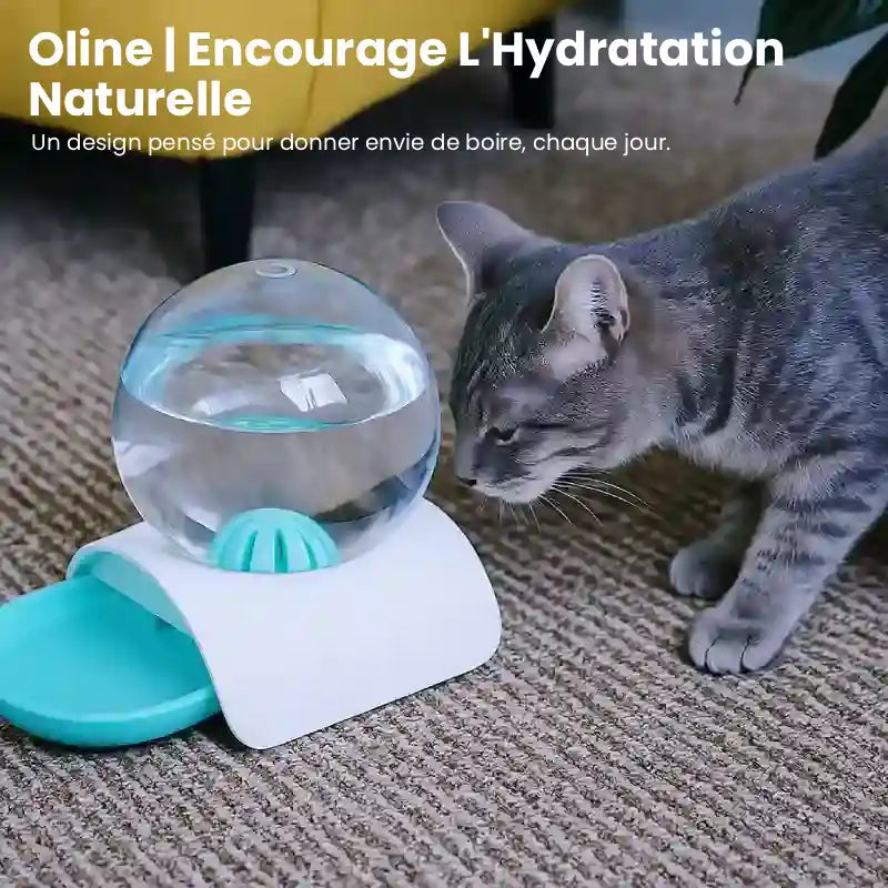 Distributeur eau pour chat - Oline : hydratation naturelle - AstuceChat