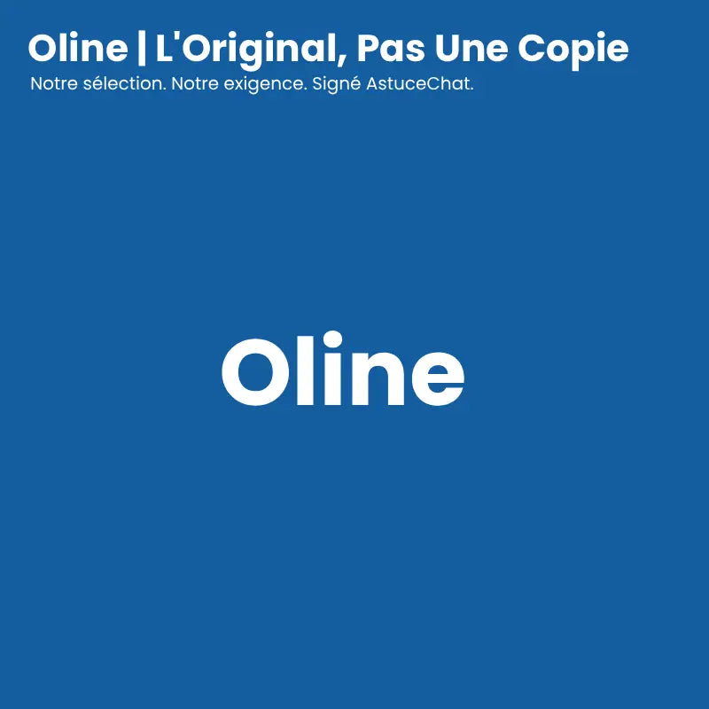 Distributeur eau pour chat - Oline : l'original - AstuceChat