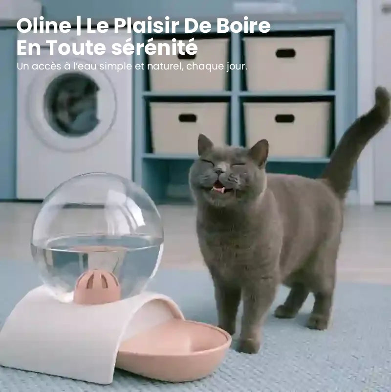 Distributeur eau pour chat - Oline : plaisir et sérénité - AstuceChat