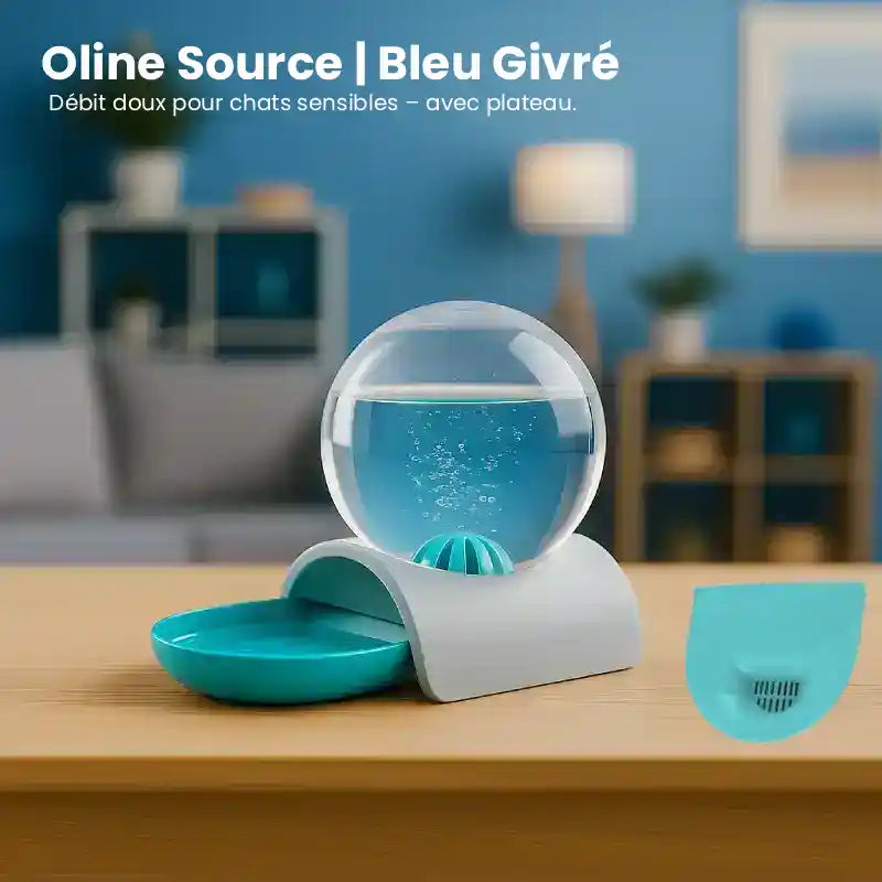 Distributeur eau pour chat - Oline : modèle Source Bleu Givré - AstuceChat