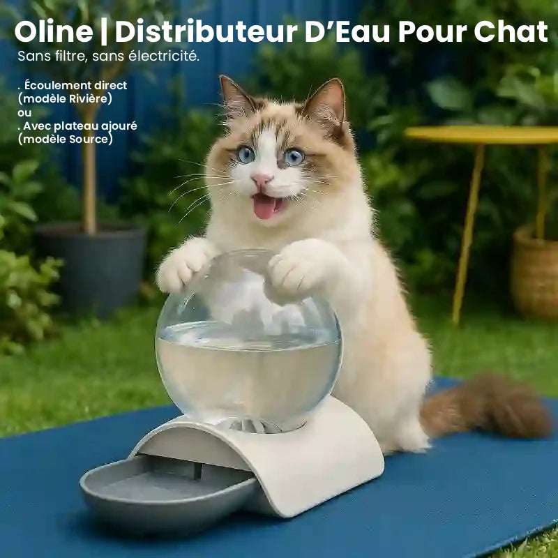 Distributeur eau pour chat - Oline par AstuceChat