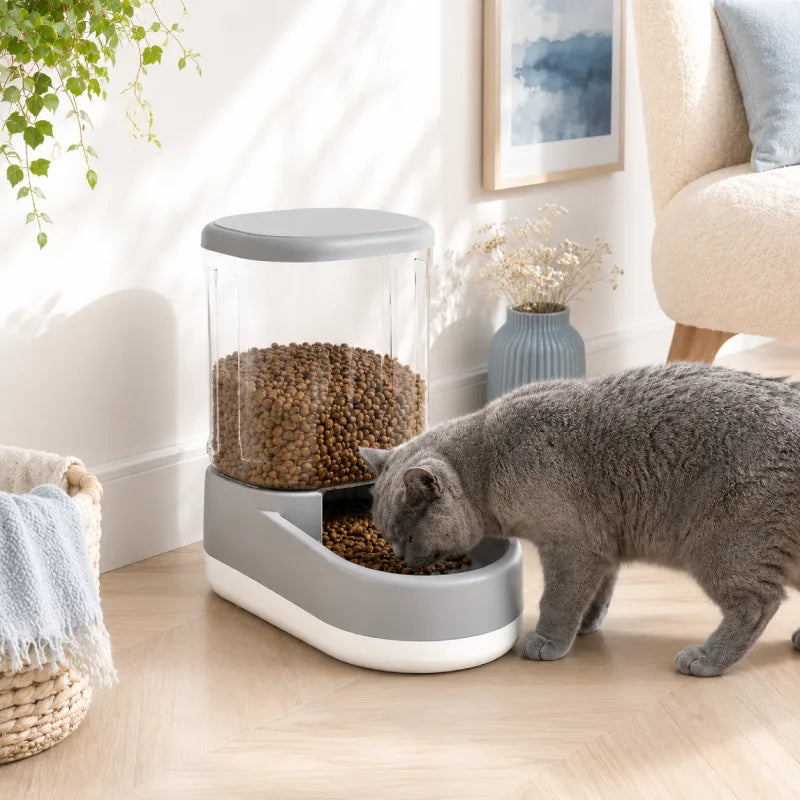 Distributeur nourriture chat - Coria : chat devant le modèle Gris Brume en coin repas - AstuceChat