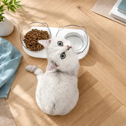 Double gamelle pour chat - Gaville : avec chat blanc vu de dessus près du coin repas - AstuceChat