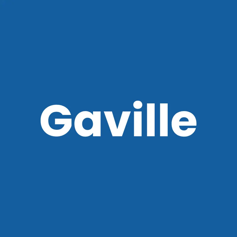 Double gamelle pour chat - Gaville - AstuceChat