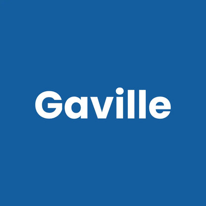 Double gamelle pour chat - Gaville - AstuceChat