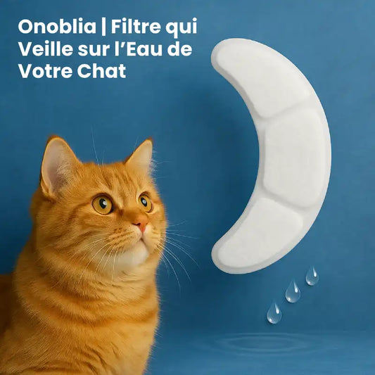 Filtre fontaine a eau chat  | Démo