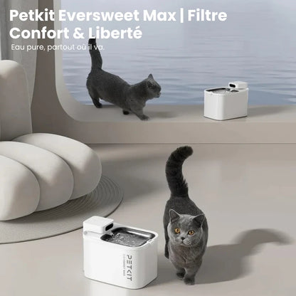 Filtre Fontaine Chat - Petkit Eversweet Max Filtration confort