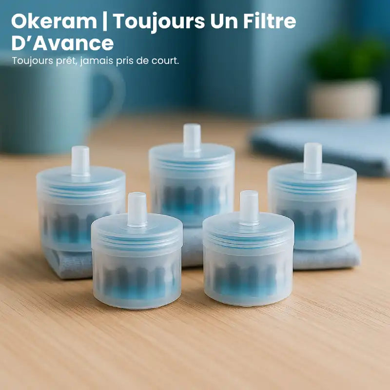 Filtre pour fontaine a eau chat - Okeram : cinq filtres AstuceChat