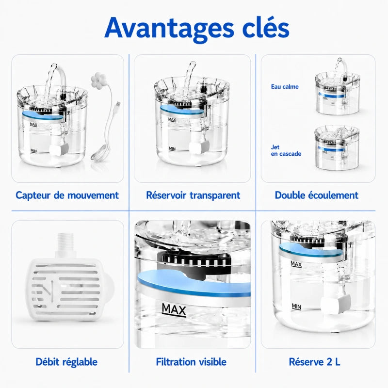 Fontaine à eau chat avec capteur de mouvement - Onoblia : avantages clés - AstuceChat