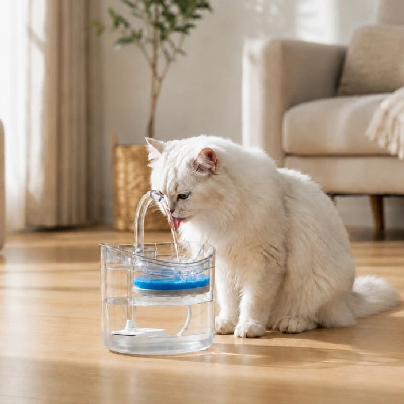 Fontaine à eau chat avec capteur de mouvement - Onoblia : chat qui boit dans la fontaine - AstuceChat