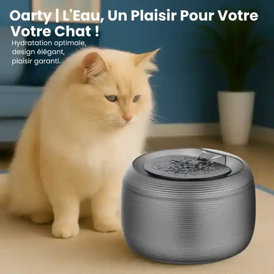 Fontaine A Eau Chat | Chat roux