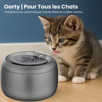 Fontaine A Eau Chat - Chaton et Oarty