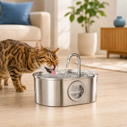 Fontaine a eau chat inox - Onox : avec chat bengal - AstuceChat