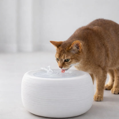 Fontaine a eau chat - Oarty par AstuceChat