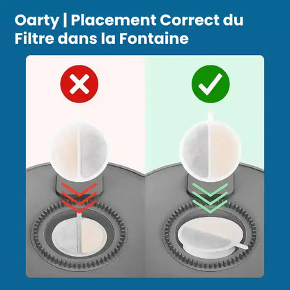Fontaine a eau chat - Oarty : placement filtre principal