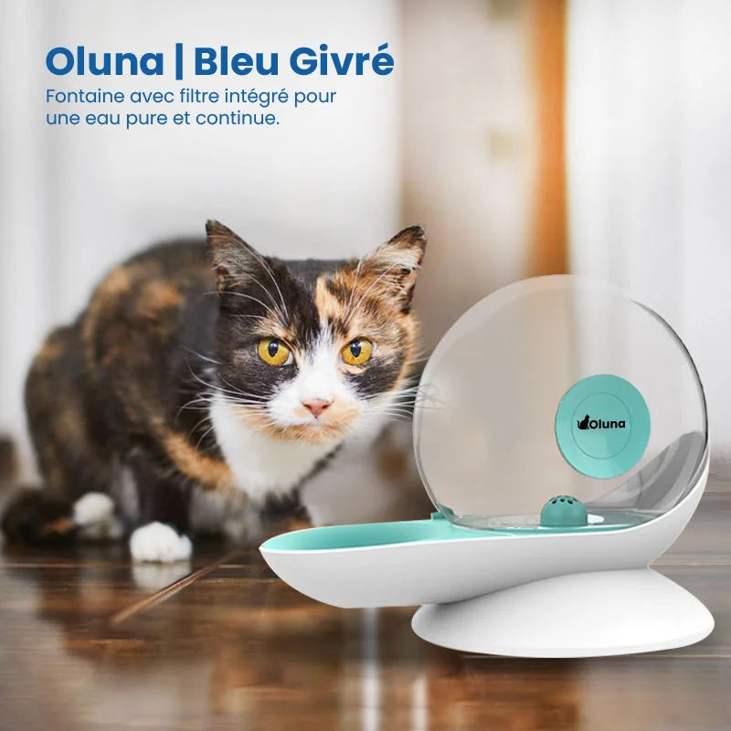 Fontaine à eau chat sans électricité  | Bleu givré