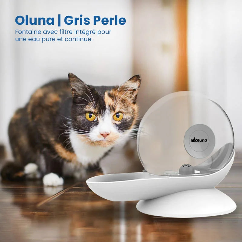 Fontaine à eau chat sans électricité  | Gris perle