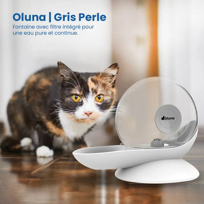 Fontaine à eau chat sans électricité  | Gris perle