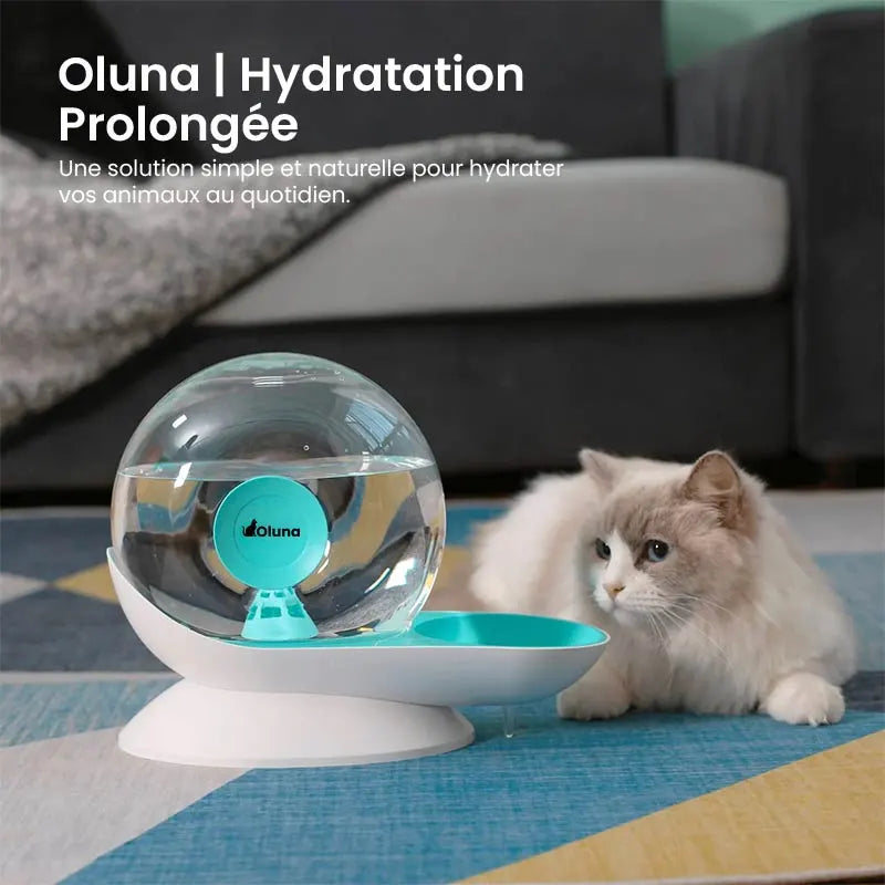 Fontaine à eau chat sans électricité  |  Hydratation prolongée