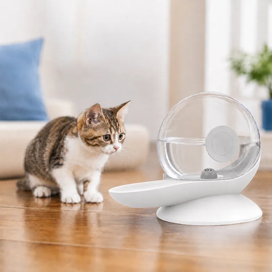 Fontaine à eau chat sans électricité - Oluna : chaton devant la fontaine avec eau disponible en continu - AstuceChatn 