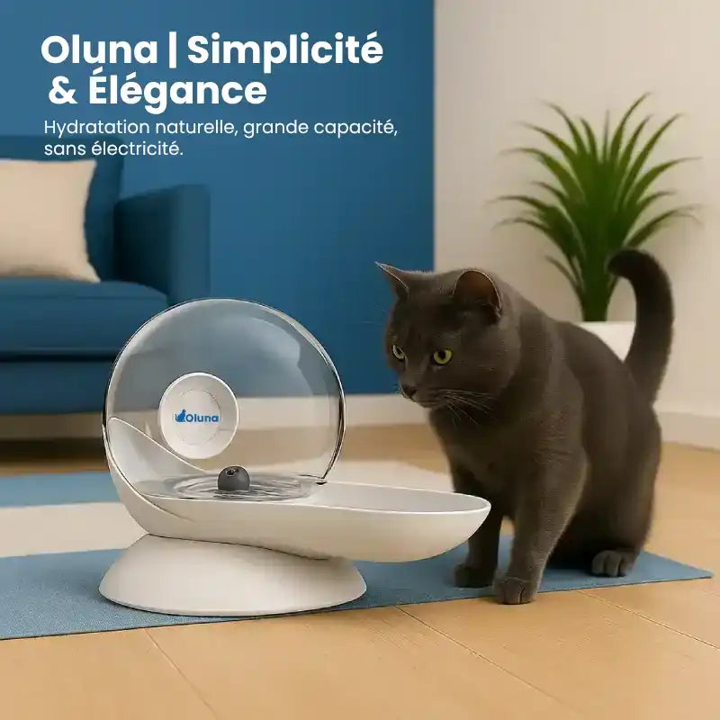 Fontaine à eau chat sans électricité | Oluna : simplicité et élégance