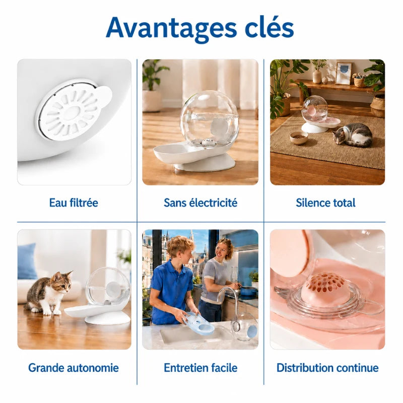 Fontaine à eau chat sans électricité - Oluna : six avantages clés de la fontaine sans électricité - AstuceChat