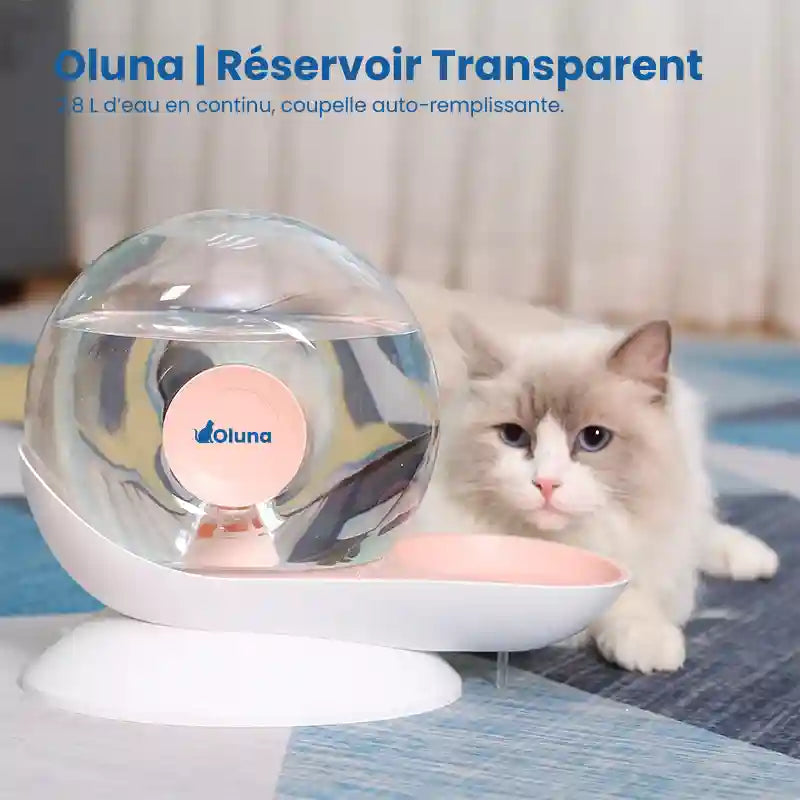 Fontaine à eau chat sans électricité  | Réservoir Transparent
