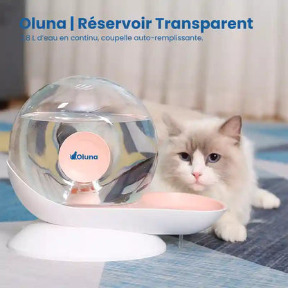 Fontaine à eau chat sans électricité  | Réservoir Transparent
