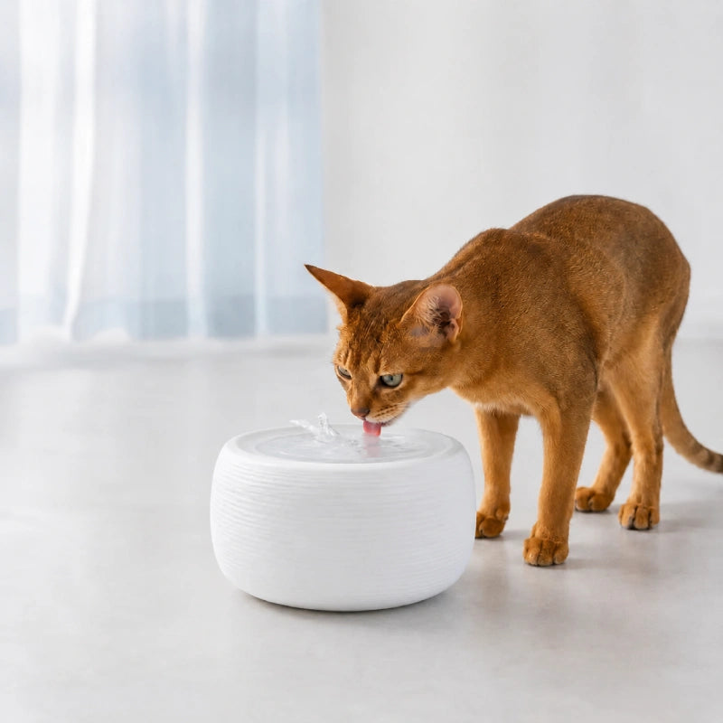 Fontaine à eau chat silencieuse - Oarty : Blanc Nacré lifestyle Abyssin  fauve - AstuceChat