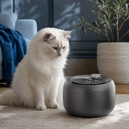 Fontaine à eau chat silencieuse - Oarty : lifestyle Angora turc blanc Noir Onyx - AstuceChat