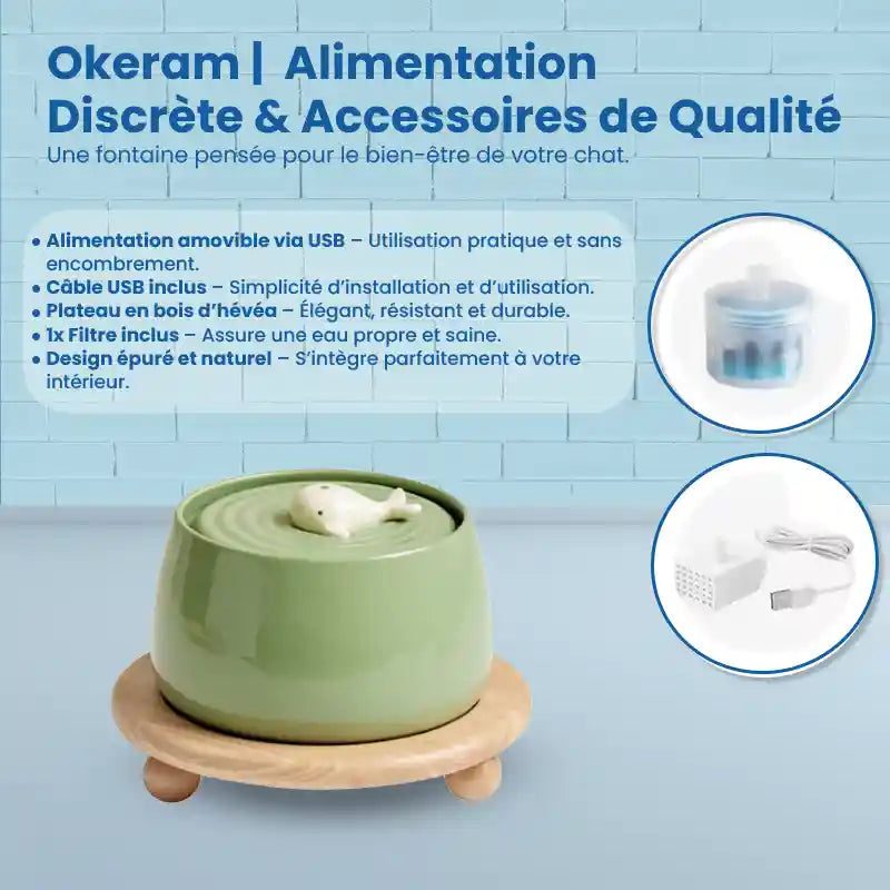 Fontaine a eau pour chat ceramique  | Accessoires inclus