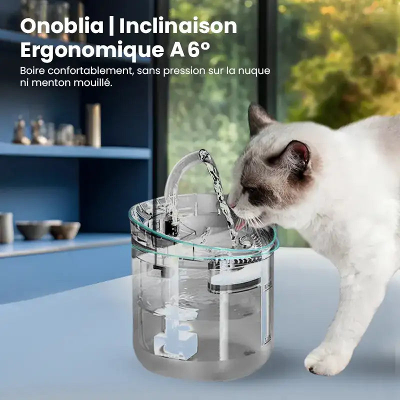 Fontaine à eau pour chat - Onoblia : ergonomique - AstuceChat