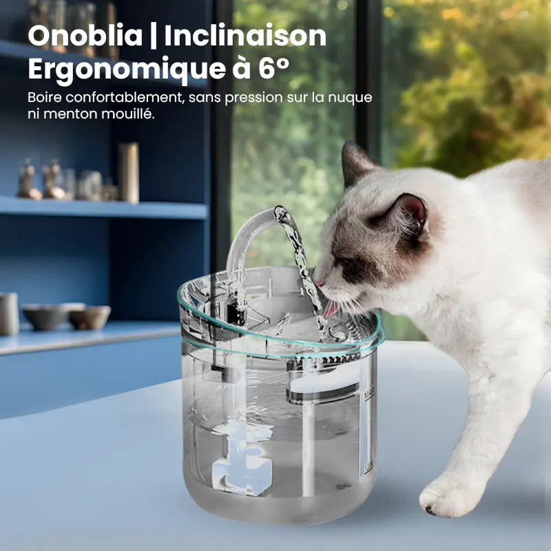 Fontaine à eau pour chat  | Ergonomique