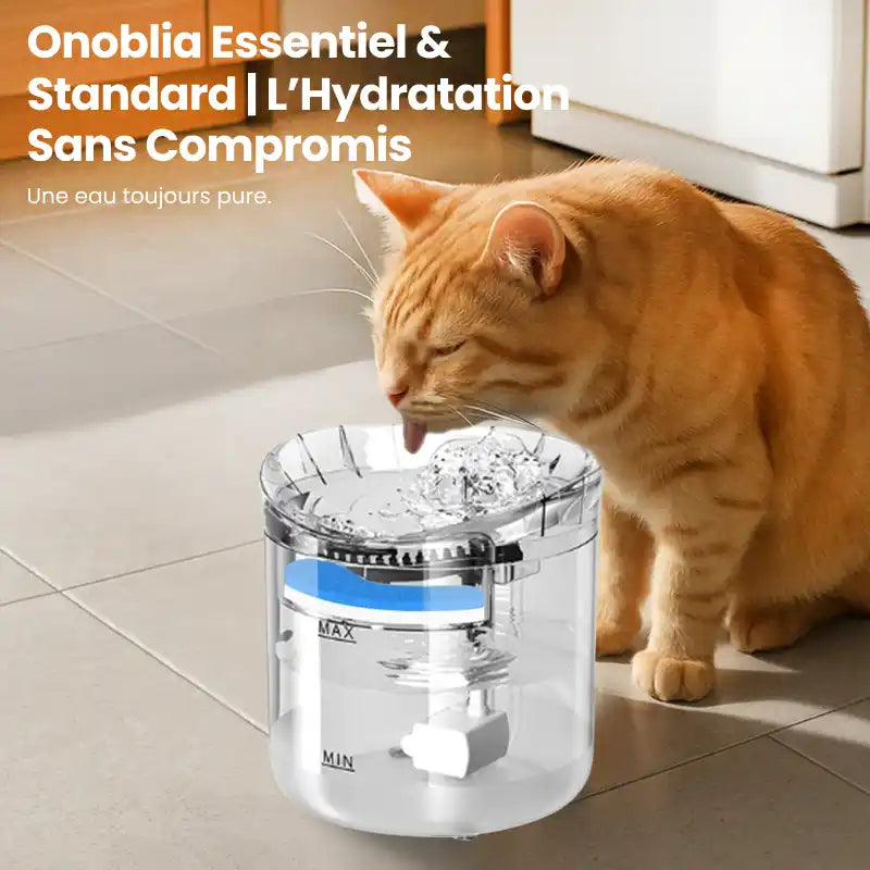 Fontaine à eau pour chat  | Essentiel & standard