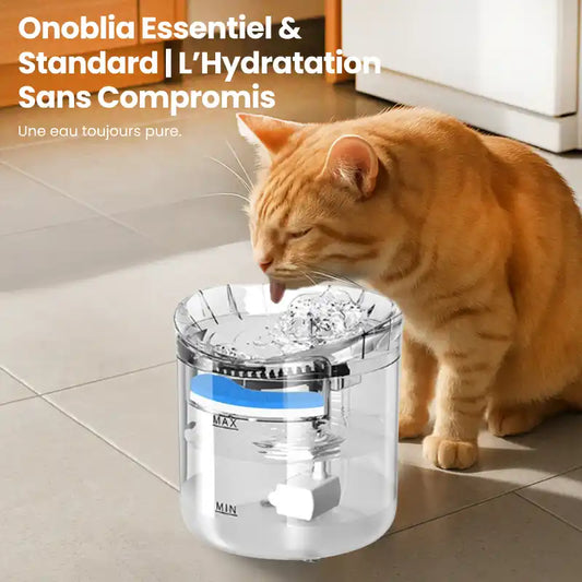 Fontaine à eau pour chat  | Essentiel & standard
