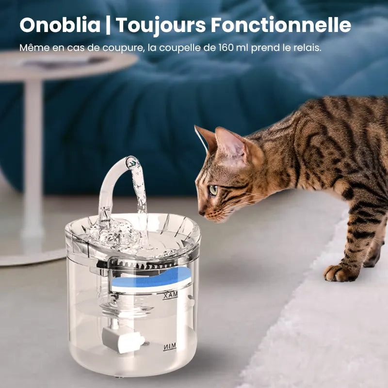 Fontaine à eau pour chat  | Fonctionnelle