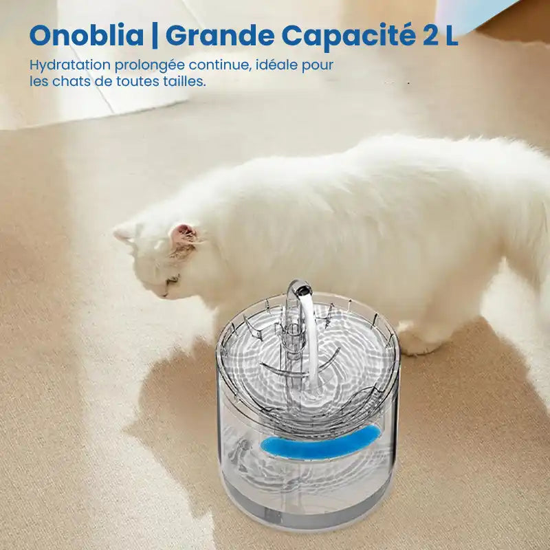 Fontaine à eau pour chat  |  Grande capacité